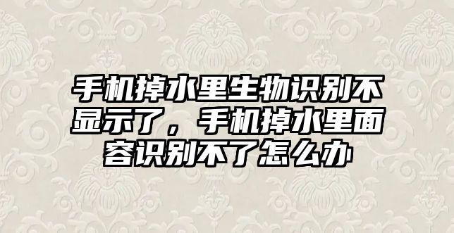 手機(jī)掉水里生物識別不顯示了，手機(jī)掉水里面容識別不了怎么辦