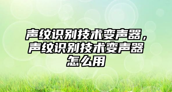 聲紋識(shí)別技術(shù)變聲器，聲紋識(shí)別技術(shù)變聲器怎么用